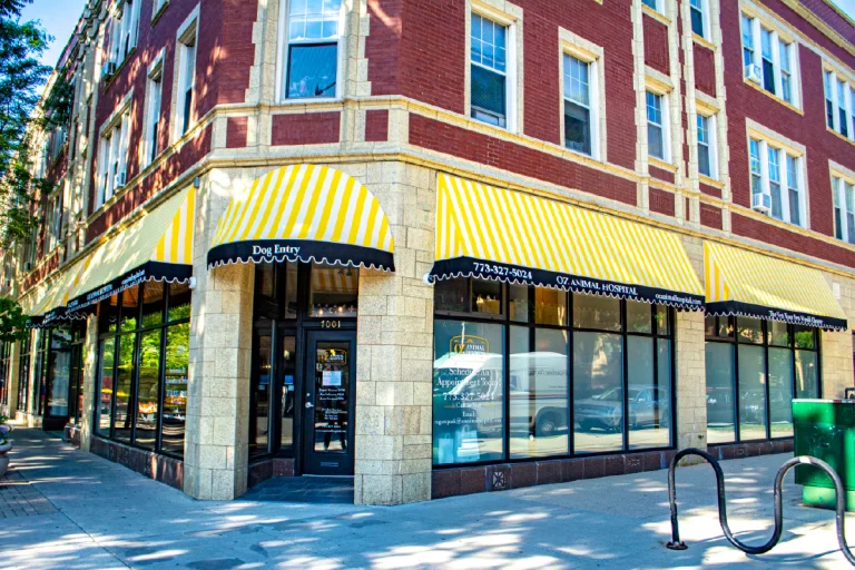 Awnings Chicago Signfreaks, built and installed by SignFreaks