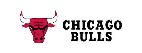 Chicago Bulls logo