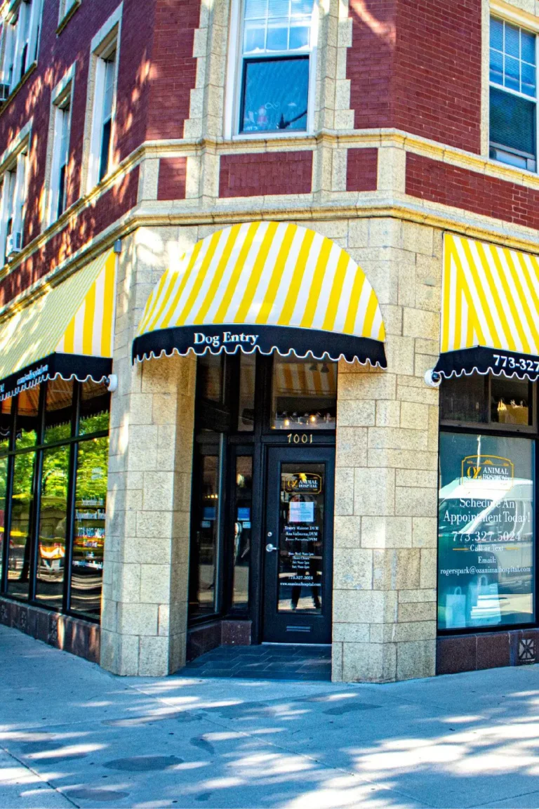 OZ Animal Care custom awning installed at Chicago location