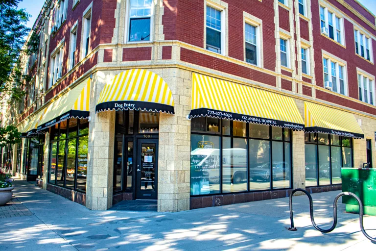 Storefront Awnings Chicago Oz Animal Hospital, built and installed by SignFreaks